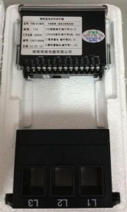 清河门-ARTM-P12装置230VAC带12点测温功能表带式带RS4
