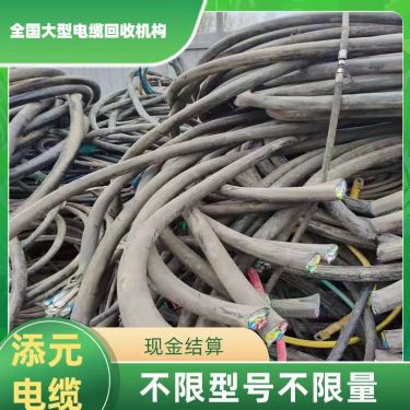 东风电缆线回收#2023已更新当面付款